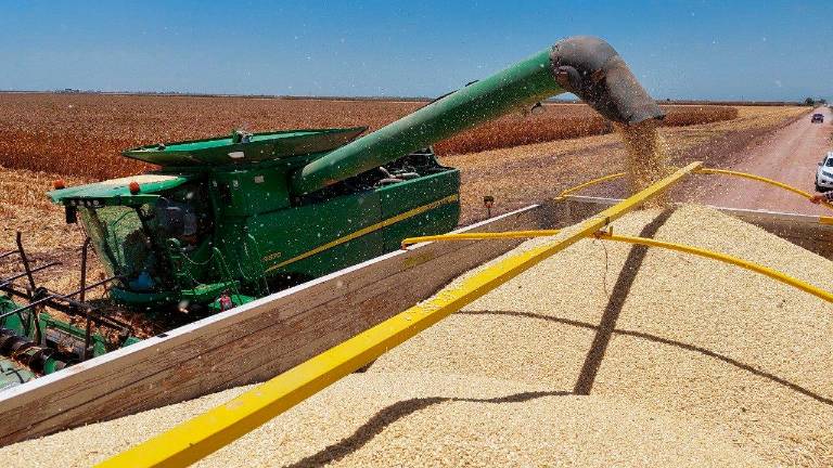 Cada año, los escenarios de la agricultura son distintos. En lo particular el ciclo 2021-2022, se percibe complicado, sobre todo por las fuertes alzas en los fertilizantes y los combustibles.