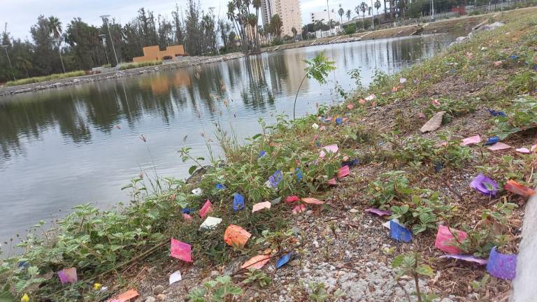 Cientos de papelitos de colores se aprecian en una gran zona a la orilla de la laguna del Parque Central.