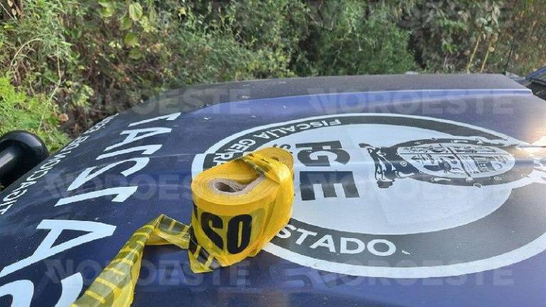 Integrantes de colectivos y autoridades estatales resguardan la zona del hallazgo en San Ignacio
