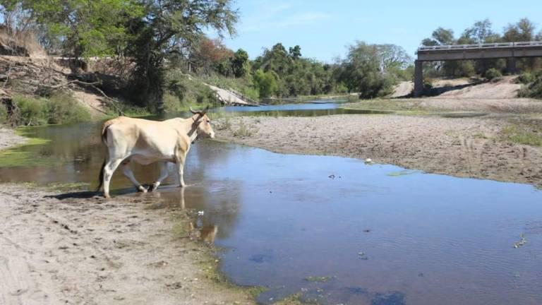 $!Puente de El Quelite, un año de afectaciones para los habitantes de la región