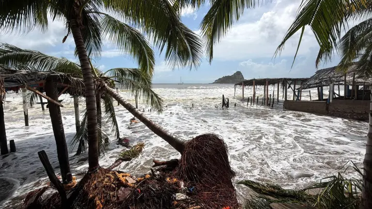 El fuerte oleaje ha dejado palapas dañadas, restaurantes afectados y acumulación de arena, ramas y troncos en la Isla de la Piedra.