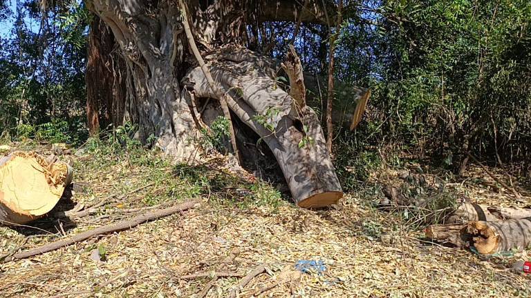 Autoridades informaron que se estén levantando evidencias del daño que se ocasionó.