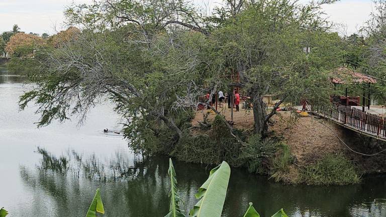 En la Laguna del Iguanero no hay vigilancia porque está prohibido introducirse, dice el Alcalde.