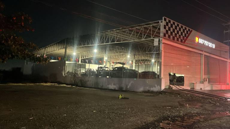 Durante el siniestro resultaron afectados al menos cinco vehículos que estaban dentro del lote.