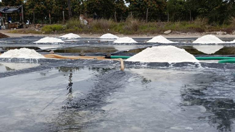 En Escuinapa inició la temporada de producción de sal artesanal.
