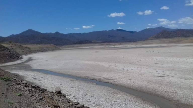 Son varios los municipios que ya resienten la sequía en Sinaloa.