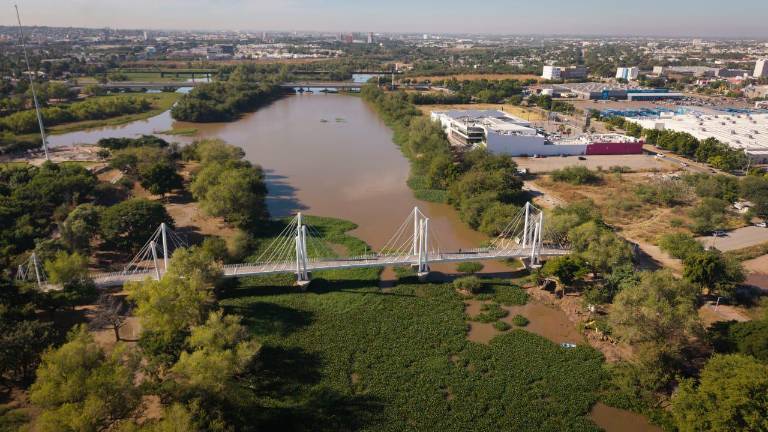 Personal municipal continúa con el retiro de lirio acuático en el río Humaya para mitigar sus afectaciones al ecosistema.