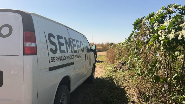 El cuerpo de un hombre fue encontrado en avanzado estado de descomposición y esposado entre Bellavista y La Higuerita, en Culiacancito, Culiacán.