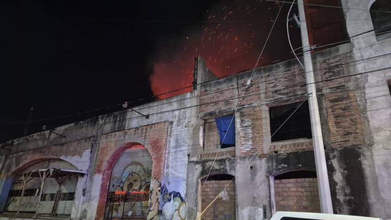Tras el incendio en el Mercado de las Flores, se reportaron únicamente daños materiales.