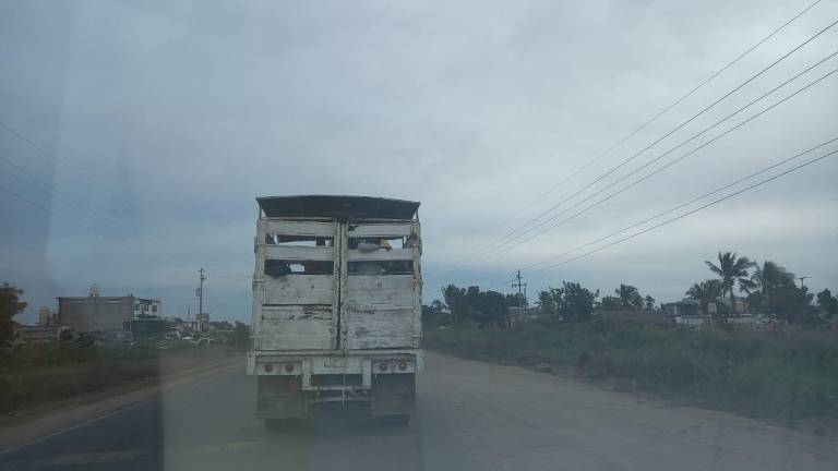 Camión de transporte jornaleros a los campos del Valle de Escuinapa.