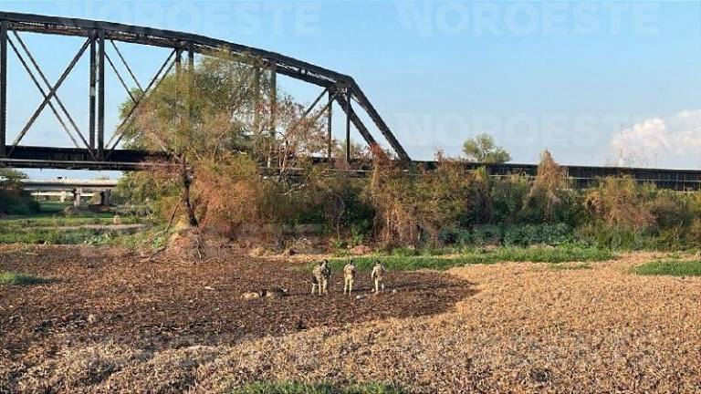 Los análisis de ADN confirmaron la identidad de la víctima localizada cerca del Puente Negro en Culiacán