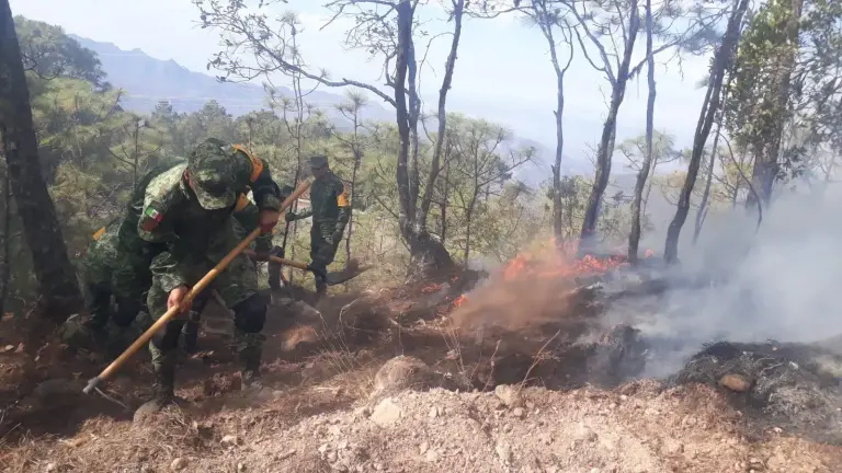 Castillo Pacheco comentó que los incendios ya le dieron la vuelta por toda la sierra, desde la Guacamaya hasta el Palmito y el hectareaje se sigue quemando.