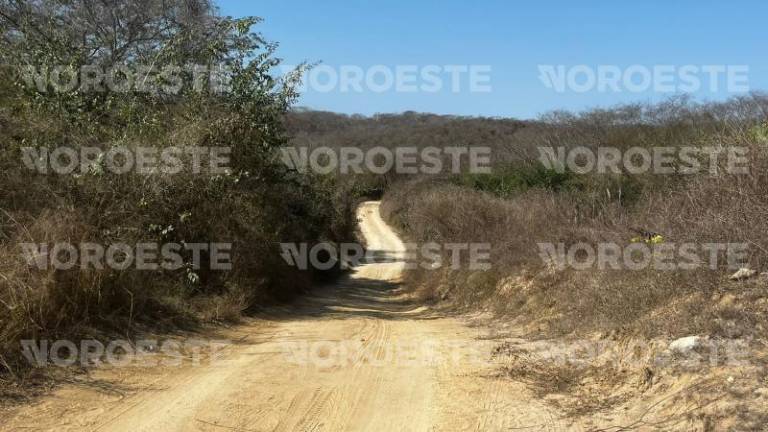 En un recorrido realizado por Noroeste, el lugar se observó sin actividad.