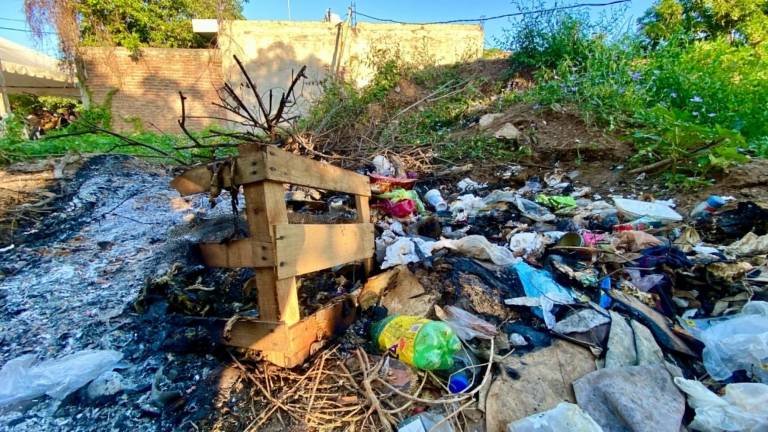 La quema de basura será sancionada por Ecología municipal.