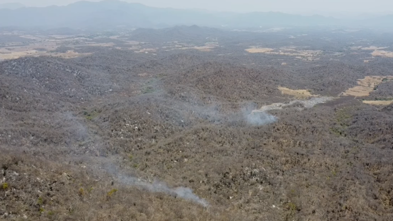 El incendió en el Cerro de El Moral arrasó con más de 185 hectáreas.