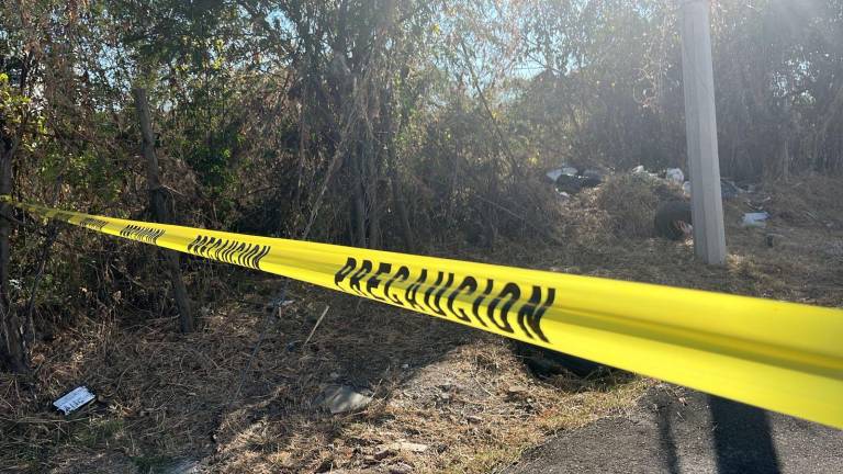 El hallazgo se reportó alrededor de las 14:00 horas en el sector Colinas de San Miguel.