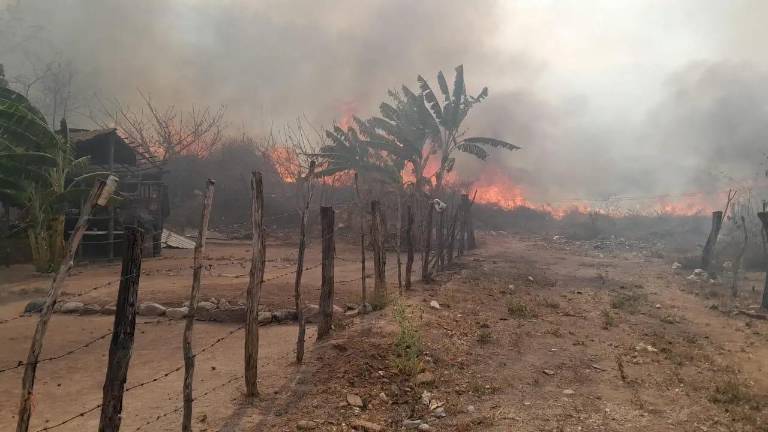 Con más de 106 mil hectáreas afectadas, Sinaloa registró el mayor promedio de superficie por incendio y uno de los combates más prolongados del País, según la Conafor.