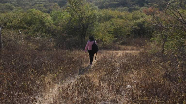 Buscadoras de desaparecidos denuncian presuntas ejecuciones extrajudiciales en Sinaloa