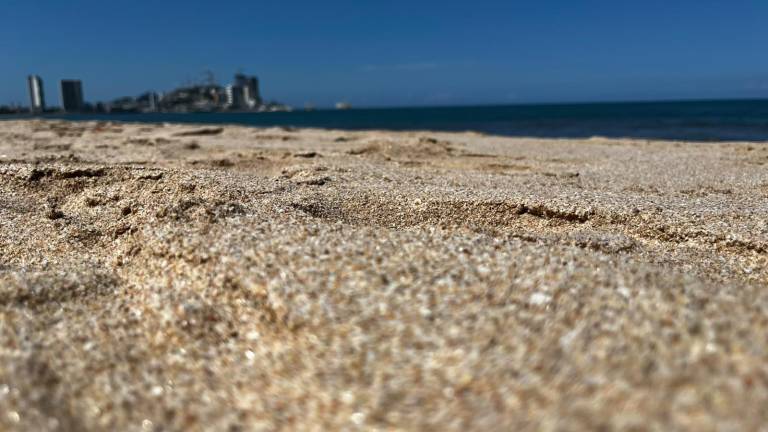 La temporada de arribazón de tortuga inició el 1 de julio y las playas urbanas de Mazatlán estarán vigiladas para proteger los nidos.