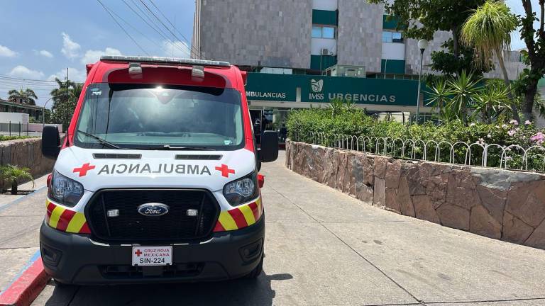 Un hombre murió tras ser atacado por abejas mientras realizaba trabajos de limpieza.