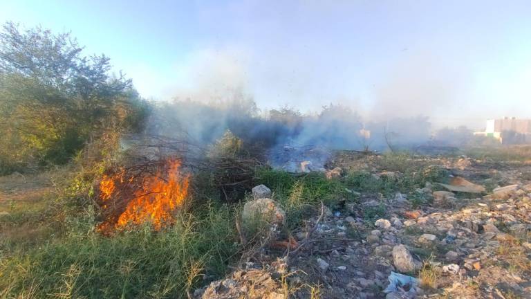 A pesar de que los reglamentos establecen sanciones, en la zona urbana de Los Mochis se sigue presentando la quema de maleza y basura en lotes baldíos.