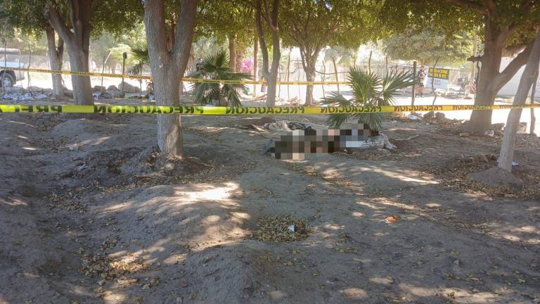 El cuerpo fue localizado en la vía pública en el cruce de las calles Víctor Soto y Francisco Serrano.