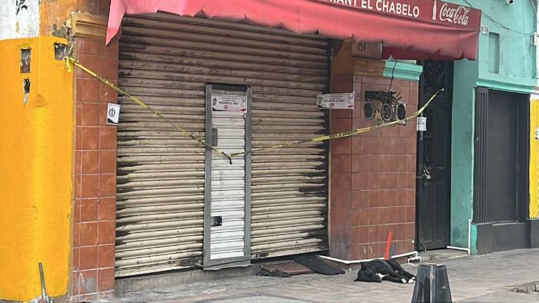 Un perrito se encuentra afuera de un local baleado en el Centro de Culiacán, a la espera del regreso de su dueño.