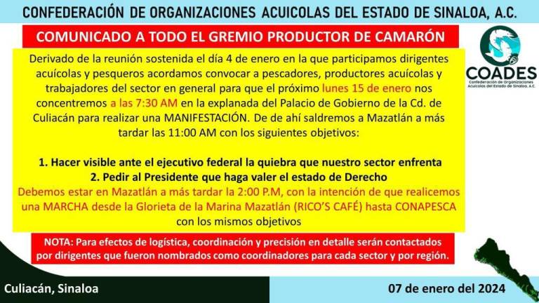 Coades ha convocado a integrantes del gremio productor de camarón a reunirse frente al Palacio de Gobierno en Culiacán para después partir a Mazatlán y marchar hacia Conapesca.