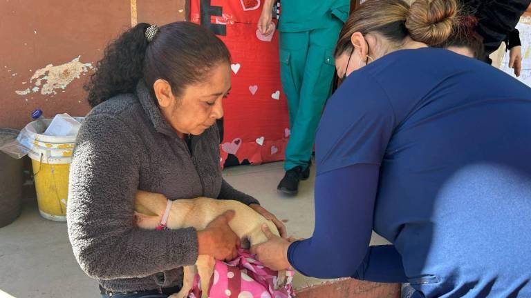 El próximo 23 de marzo se llevará a cabo una campaña de esterilización de mascotas en Villa Juárez, Navolato.