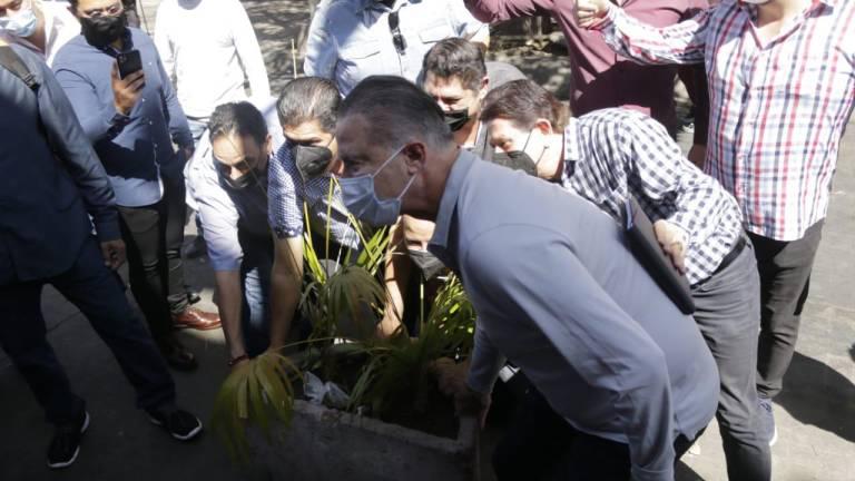 Quirino Ordaz Coppel mueve maceteros del centro para propiciar el flujo de automóviles