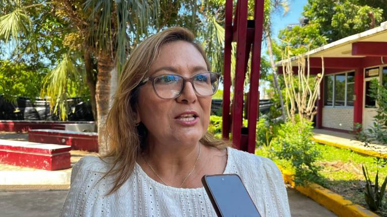 Rosa Elena Sánchez Moraila señaló que la mayoría de las personas que actualmente acuden al organismo lo hacen para solicitar atención relacionada con salud mental.