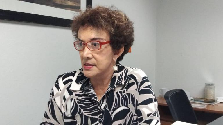 La abogada Ana Rosa Tirado citó de ejemplo las oficinas municipales, así como la bodega y el vivero que fueron colocadas en el interior del área de uso común.