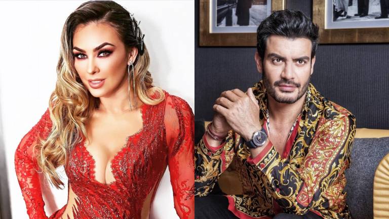 Aracely Arámbula y Andrés Palacios protagonizarán el remake de ‘La Madrastra’.