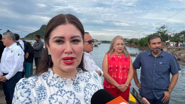 La temporada de captura de camarón presenta un panorama desfavorable para pescadores del sur, señaló Flor Emilia Guerra.