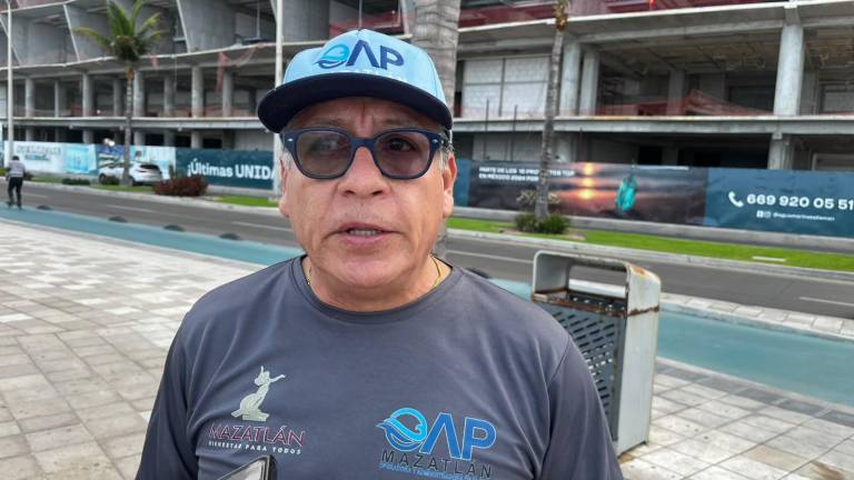 El director de la Operadora y Administradora de Playas, Ángel García Contreras, sugiere que las palapas a la orilla de la playa deben regresar a su modelo original.