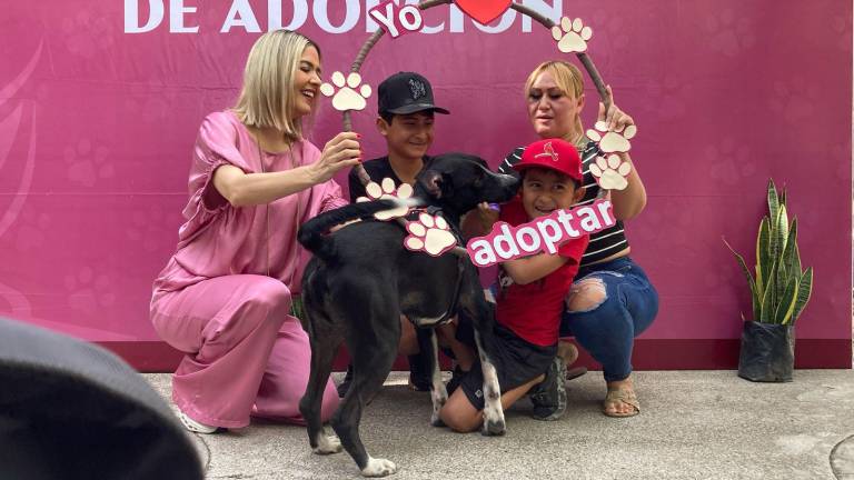 Uno de los perritos fue adoptado por una familia.