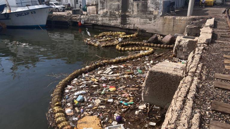 Un gran acumulado de botellas de plástico, utensilios de unicel, vidrios, pedazos de madera, pelotas, muebles y otros artefactos viejos, continúan acumulándose en la biobarda del puente Juárez.