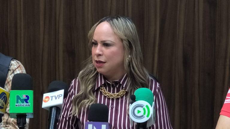 Dulce María Ruiz Castro, presidenta de la Asociación Mexicana de Mujeres Jefas de Empresa (AMMJE) destacó que el balance es positivo.