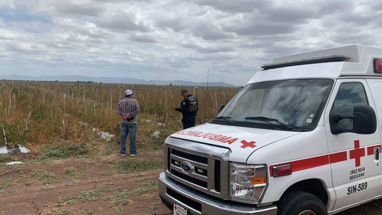 Paramédicos de Cruz Roja acudieron al campo agrícola ubicado en el Valle de El Carrizo, donde confirmaron el fallecimiento de un jornalero este sábado.