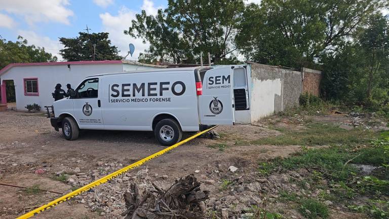 El cuerpo del joven fue localizado este domingo en una parcela de la colonia 5 de Febrero, en Navolato, y posteriormente identificado por familiares.