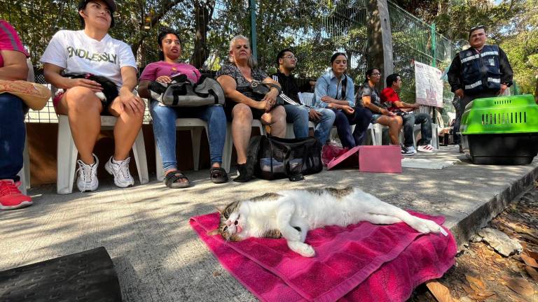 Durante la jornada también se esterilizaron mascotas.