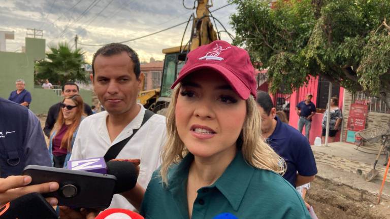 El programa operará durante los tres años de su administración, dice Estrella Palacios.