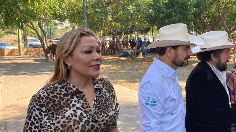 Claudia Valdez aseguró que se mantienen operativos de seguridad en Rosario para proteger a sus habitantes.