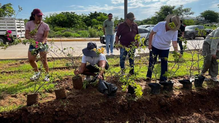 Autoridades municipales y elementos de la Sedena participan en la plantación de árboles y bugambilias en Mazatlán.