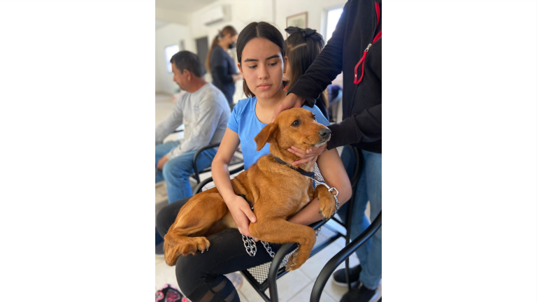 La asociación Huellita con Causa IAP acudió a El Carrizo en Ahome, Sinaloa.