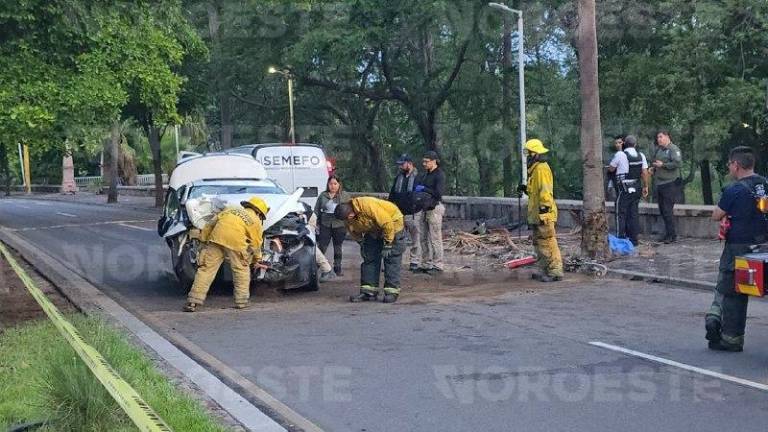 Un hombre de 34 años falleció la madrugada de este domingo en Culiacán tras chocar con una palmera.