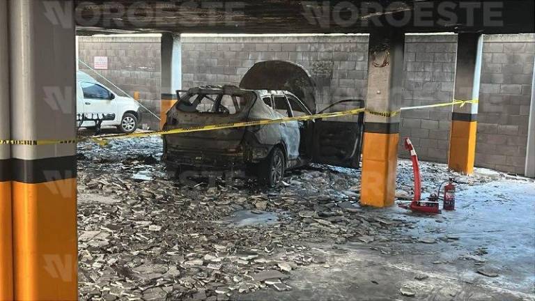 Bomberos sofocaron el incendio que consumió una camioneta en el hotel de Tres Ríos.