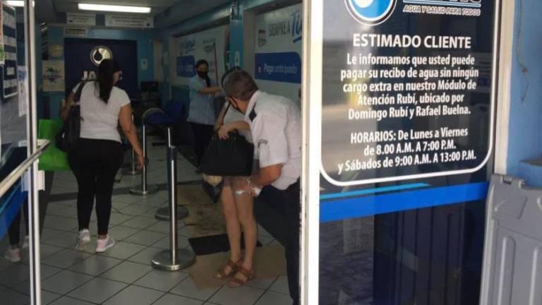 La subasta de Japac será el próximo 12 de julio.