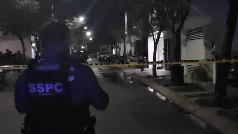 Personal pericial procesa las zonas de los hallazgos registrados durante la jornada en Sinaloa.