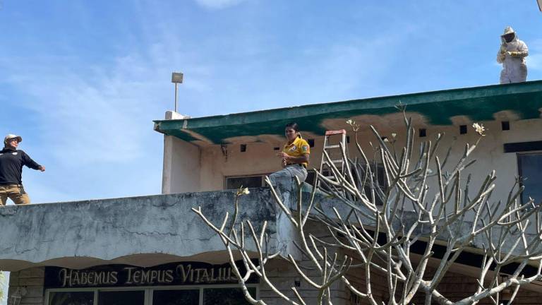 Los elementos de PC fueron atacados por las abejas cuando realizaban un operativo en Teacapán.